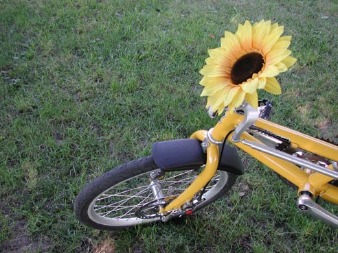 Ron and Boni Simshauser sunflower